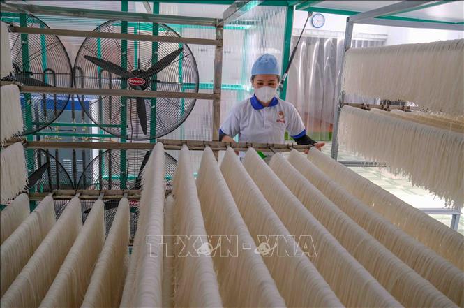 Drying rice noodles by ITS equipment using solar energy at Huynh Duc Foods Company in Hau Giang province. VNA Photo