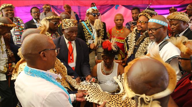 Các thủ lĩnh, tù trưởng làm nghi lễ trước khi khoác áo da báo cho Inkosi Paseka Mzizi. Ảnh: Hồng Minh - p/v TTXVN tại Pretoria, Nam Phi