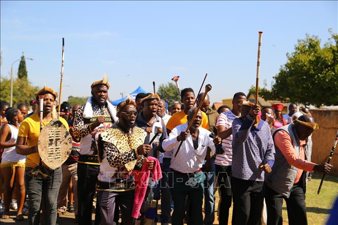 Một nhóm khách người Zulu đến từ tỉnh KwaZulu-Natal đến chúc mừng vị lãnh đạo truyền thống mới.  Ảnh: Hồng Minh - p/v TTXVN tại Pretoria, Nam Phi